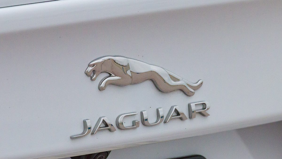 Jaguar logo